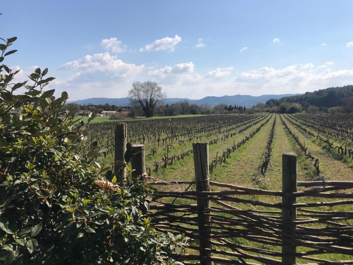Chateau Saint-Pierre De Mejans Puyvert Ngoại thất bức ảnh