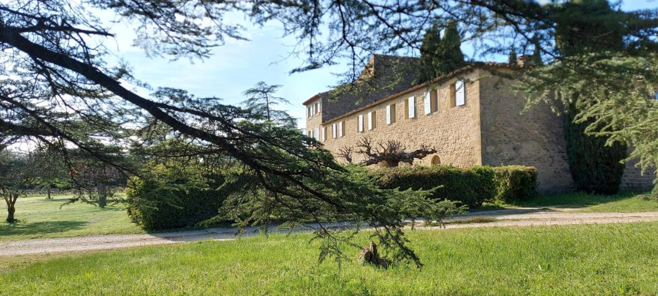 Chateau Saint-Pierre De Mejans Puyvert Ngoại thất bức ảnh