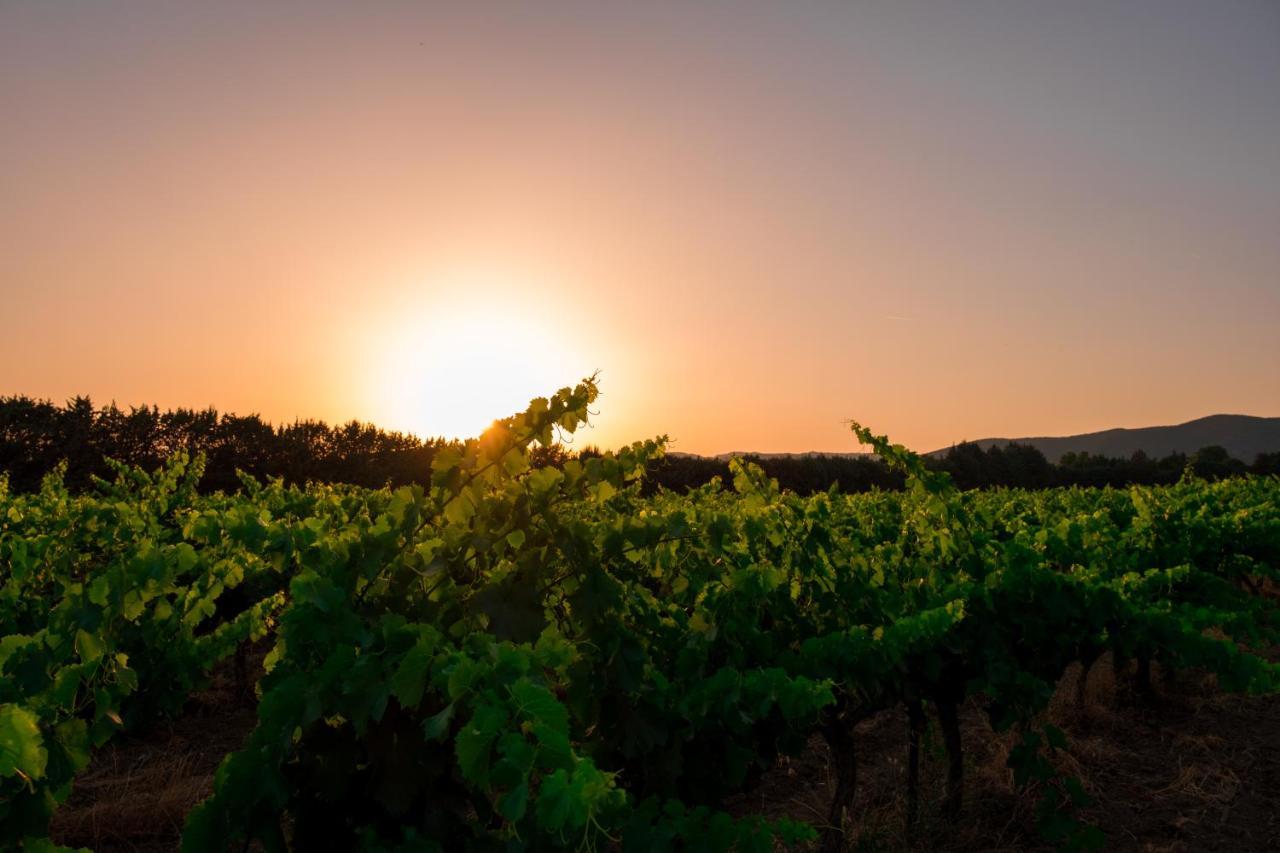Chateau Saint-Pierre De Mejans Puyvert Ngoại thất bức ảnh