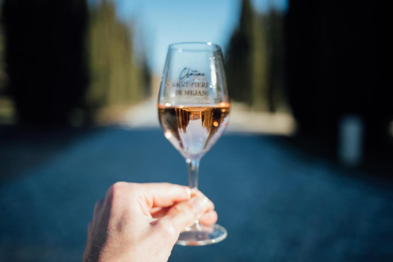 Chateau Saint-Pierre De Mejans Puyvert Ngoại thất bức ảnh